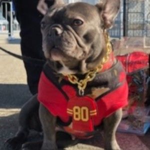 Meet your Posher, Corina